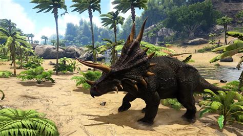 ark lv 23 triceratops knockouts|ark triceratops tamed.